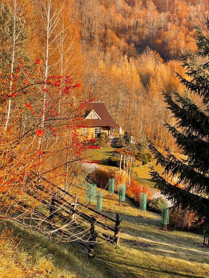 Lesne Uroczysko Cisna Exterior foto