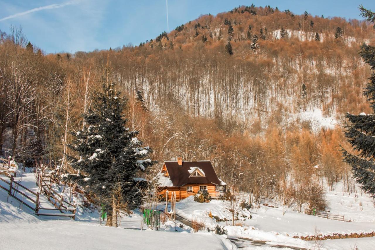 Lesne Uroczysko Cisna Exterior foto
